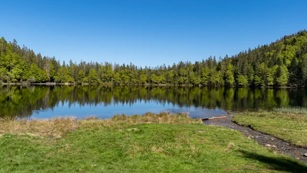 Blick auf den Feldbergsee, aufgenommen in der Nähe des Schwarzwaldes,