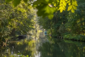 Deutschland, Spreewald, Spree zwischen Lehde und Lübbenau