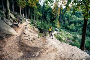 Mountainbiker fahren Radfahren im herbstlichen Wald