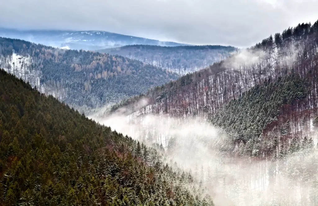 Winter im Harz